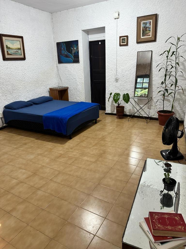 Casa Sapucaia Hospedagem domiciliar *
